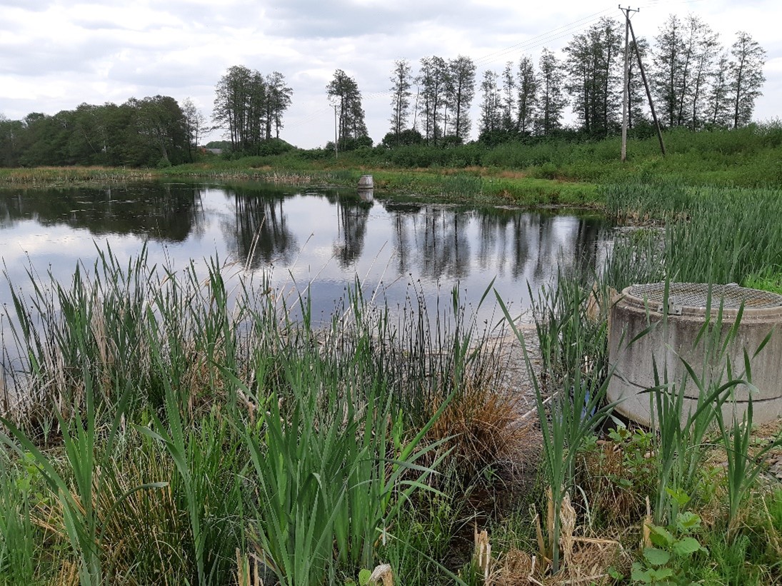 A pond in a mixed landscape